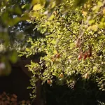 度假居 Luxe Boshuis Met 欧特罗