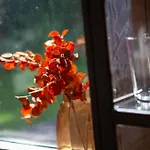 度假居 Luxe Boshuis Met 欧特罗
