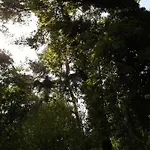 Luxe Boshuis Met 度假居