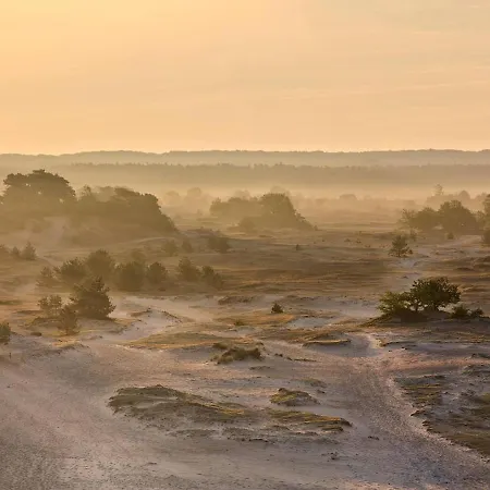 Luxe Boshuis Met Dom wakacyjny