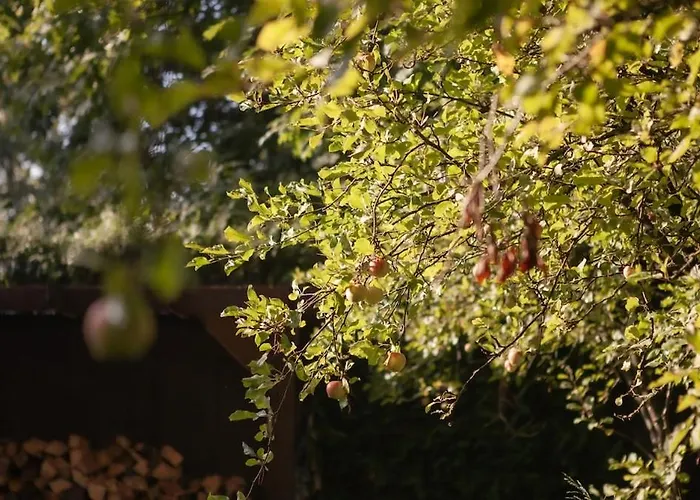 펜션 Luxe Boshuis Met 오털로