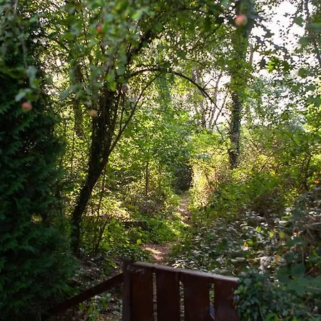 Luxe Boshuis Met * Otterlo