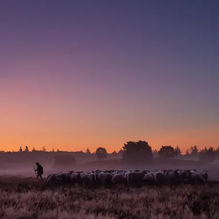 Luxe Boshuis Met * Otterlo