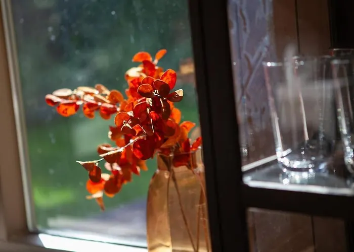 Nyaraló Luxe Boshuis Met Otterlo