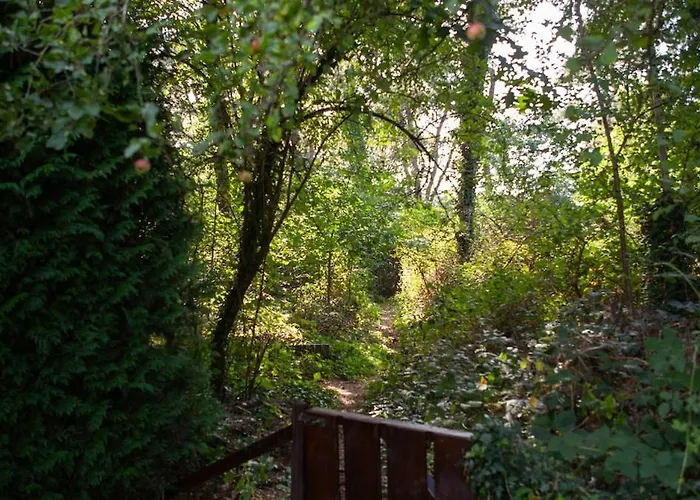 Luxe Boshuis Met * Otterlo