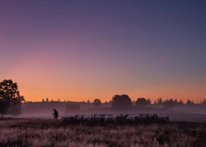 Luxe Boshuis Met * Otterlo
